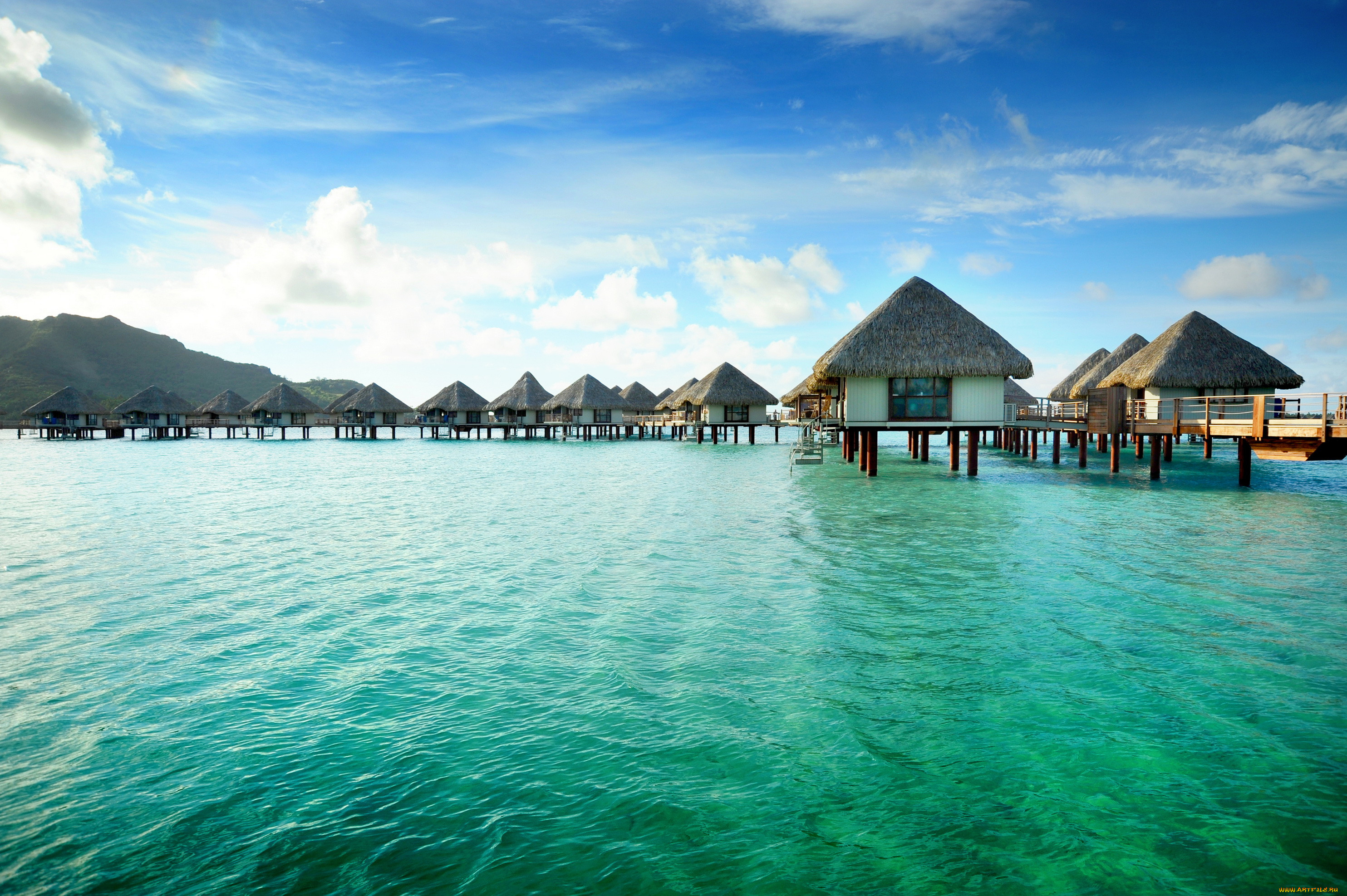 french, polynesia, , , , 